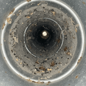 Rodents and allergens in HVAC ducts causing respiratory issues
