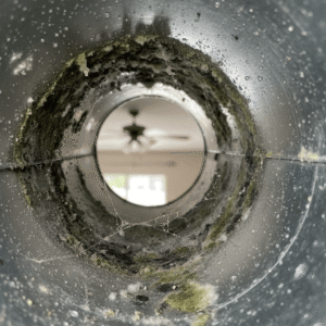 Mold and dust accumulation inside HVAC ducts in Saint Cloud, FL